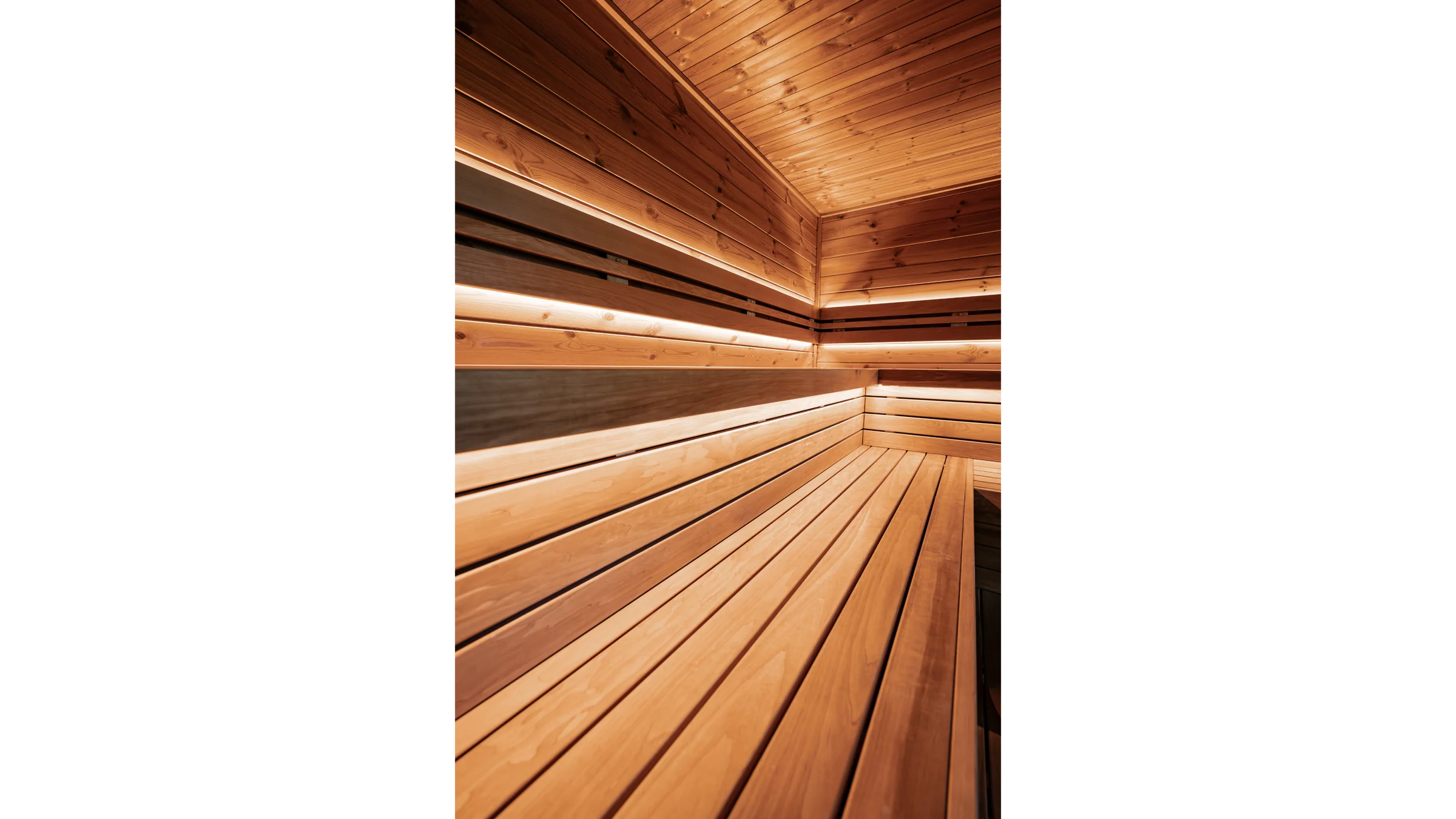 Gaia | 18 Pessoas - Imagem 5